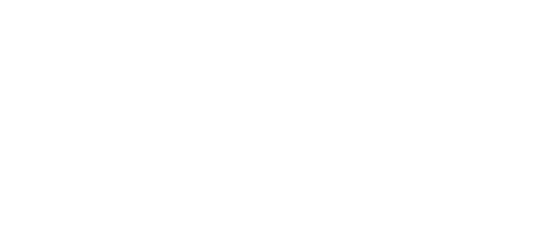 Nexus by Digilant